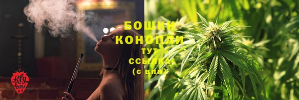 мдпв Дмитров