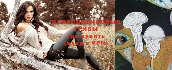 мдпв Дмитров