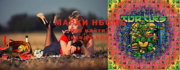 мдпв Дмитров