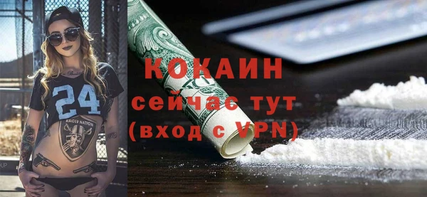 дурь Дмитровск