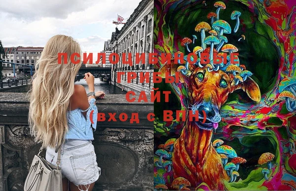мдпв Дмитров