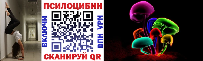 купить   Мезень  блэк спрут ссылка  Галлюциногенные грибы Psilocybe 